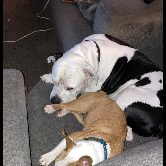 Meet your Posher, Kevin - Picture 1 of 1